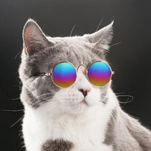 Cat-proofing Home Fashion Cat Sunglasses