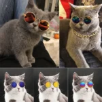 Fashion Cat Sunglasses