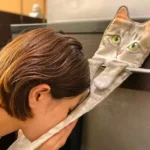 Funny Cat Hand Towels