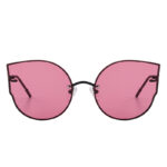 Classic Brand Designer Cat Eye Sunglasses