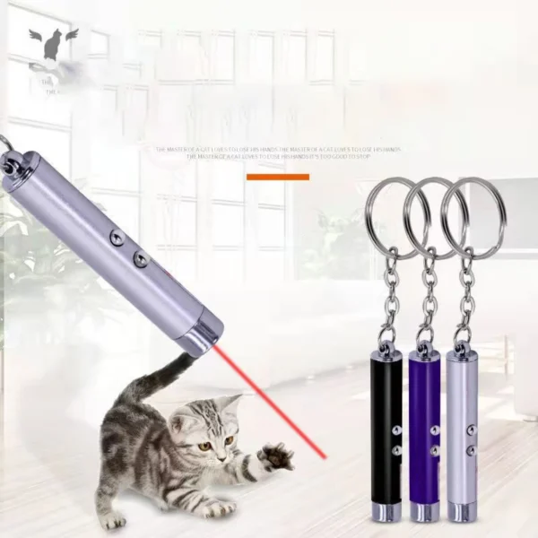 Kitty Cat LED Laser Pointer