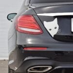 Peering Cat Car Decal