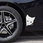 Peering Cat Car Decal