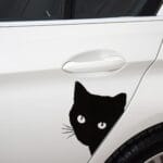 Peering Cat Car Decal