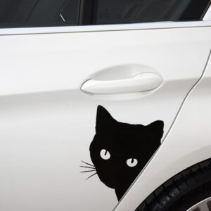 Peering Cat Car Decal
