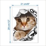 3D KittyCat Stickers