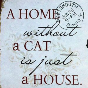 A HOME without a CAT is just a HOUSE Metal Plaque