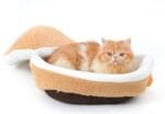 Hamburger Cat Bed