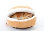 Hamburger Cat Bed