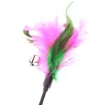 KittyCat Feather Teaser