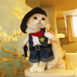 Funny Costume Cowboy Cat
