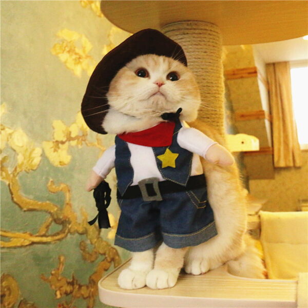 Funny Costume Cowboy Cat