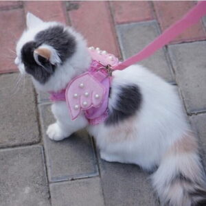 Adorable Angel Wings Cat Lead