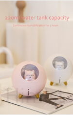 Cute Planet Cat Diffuser