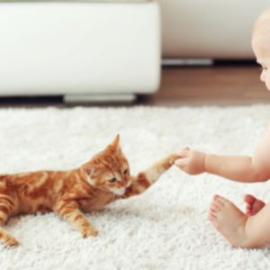 Gifts for Baby & Tots