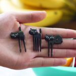 Black Cat Fruit Fork Set