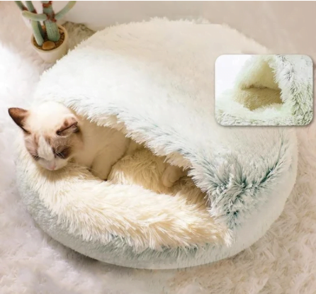 Cat Beds