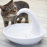 Kitty Cat Swan Water Fountain