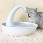 Kitty Cat Swan Water Fountain