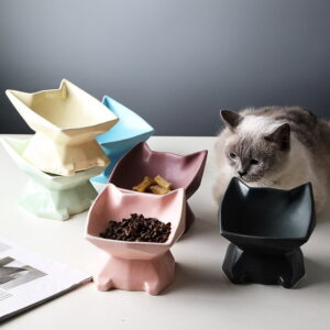 Nordic Ceramic Feeding Bowl