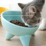 Cute Ceramic Non Slip Cat Bowl Featured