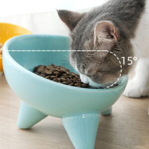 Cute Ceramic Non Slip Cat Bowl Featured