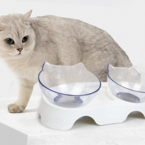 ergonomic cat feeding bowl