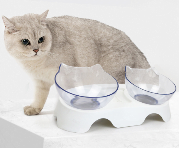 ergonomic cat feeding bowl