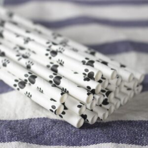 Cat Paw Eco Friendly Paper Straws