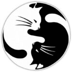 Yin Yang Cat Car Sticker