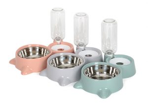 Colourful Pet Feeding Station