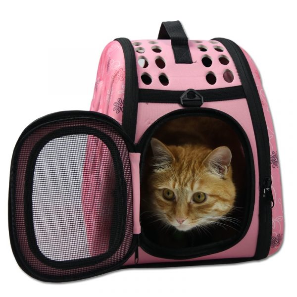 Trendy Kitty Cat Carrier