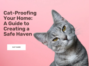 Cat-proofing your home