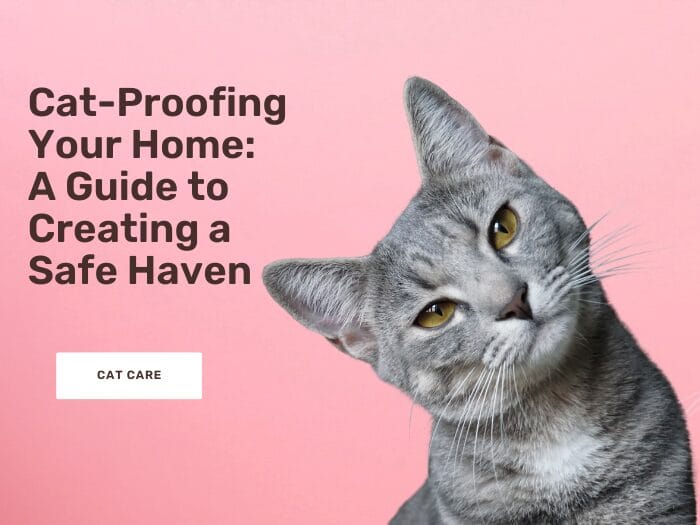 Cat-proofing your home