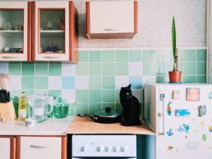 Cat-proofing your kitchen