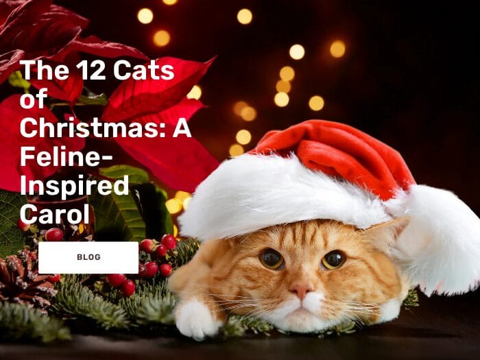 The 12 Cats of Christmas