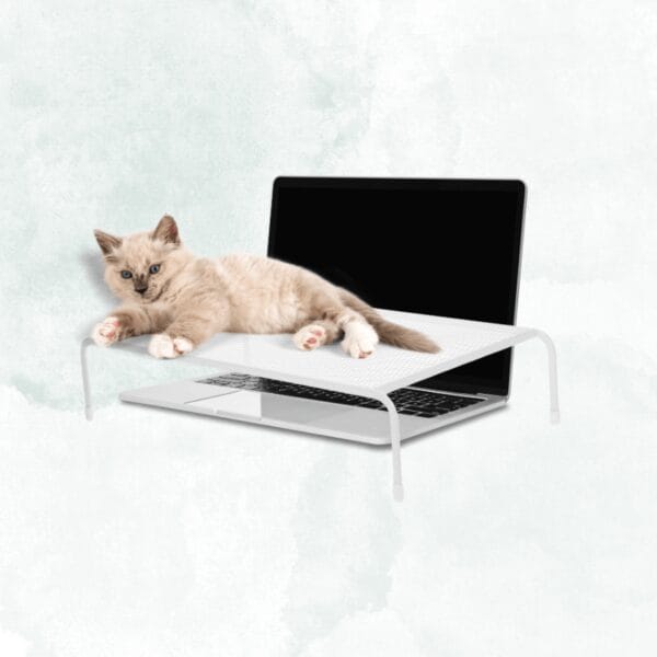 Iron Mesh Laptop Stand - Creative Cat Barrier