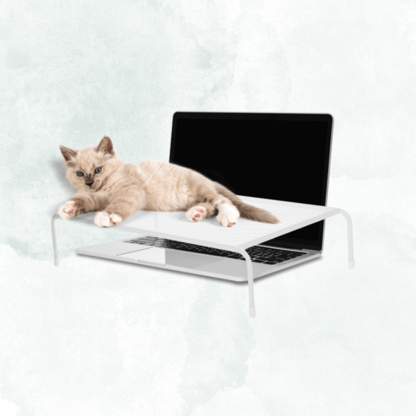 Iron Mesh Laptop Stand - Creative Cat Barrier