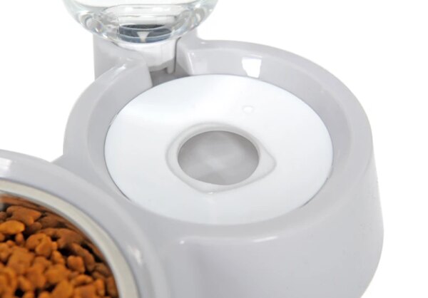 Colourful Pet Feeding Station