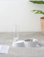 Colourful Pet Feeding Station