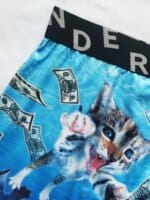 Mens 3D Cat Print Boxer Briefs