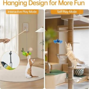 interactive bird cat toy