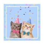 229770-navvyy.jpg kitten party supplies tableware set