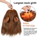 Lion Mane Dog Costume with Ears and Tail