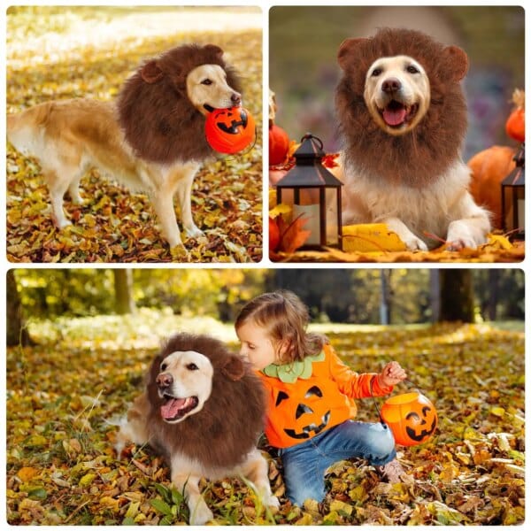 Lion Mane Dog Costume with Ears and Tail