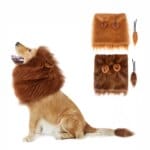 Lion Mane Dog Costume with Ears and Tail