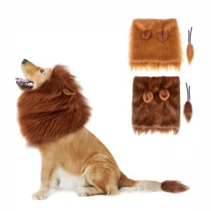 Lion Mane Dog Costume with Ears and Tail