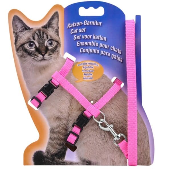kitty cat harness