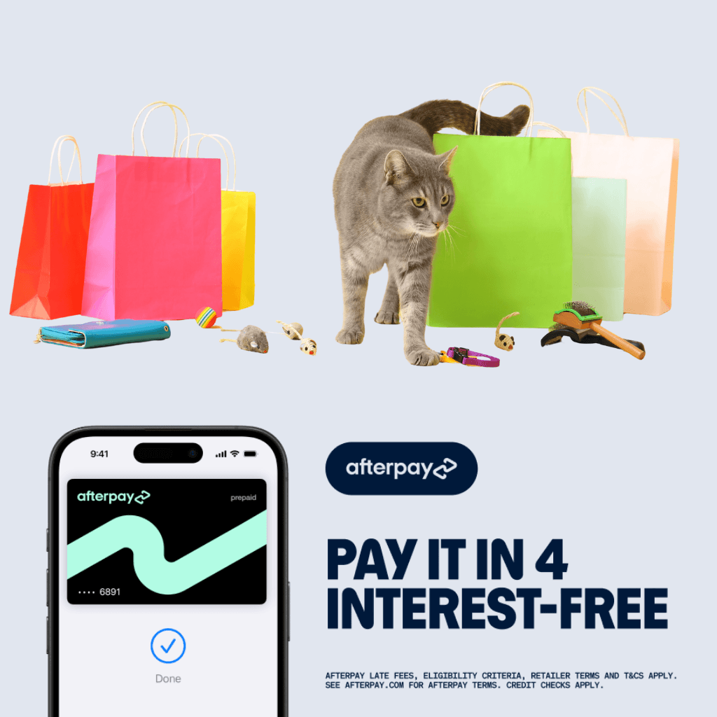Afterpay Kittycat gifts kitty cat gifts